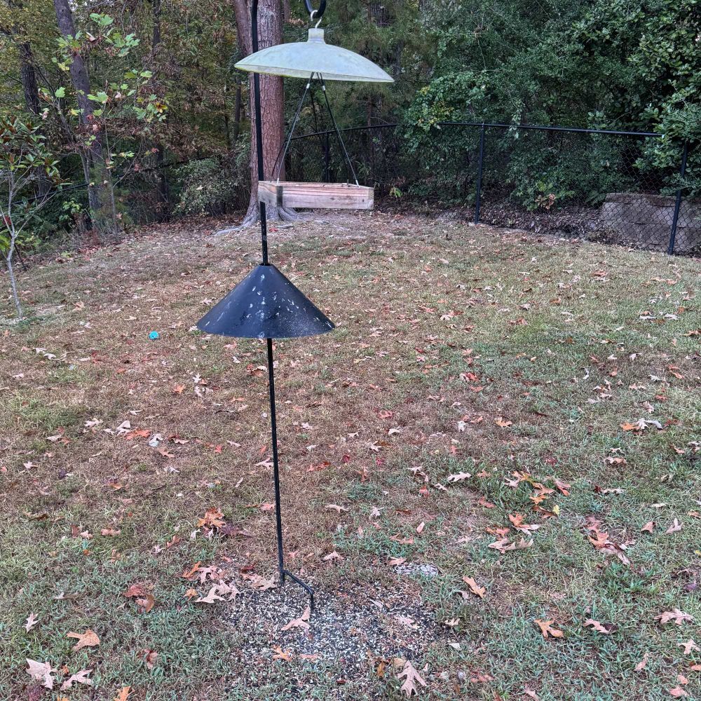 A photograph of a platform bird feeder hanging from a black metal shepherd's hook. Below the feeder are the discarded shells of sunflower seeds and oak leaves, along with a well camouflaged juvenile Timber Rattlesnake.