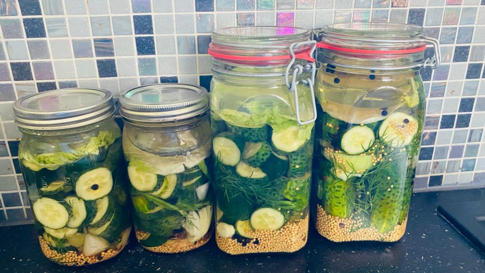 2 grosße Bügelgläser und 2 kleinerbSchraubglöser mit eingelegten Gurken stehen auf einer schwarzen Arbeitsfläche, dahinter graue Mosaikfliesen in unterschiedlichen Farbtönen