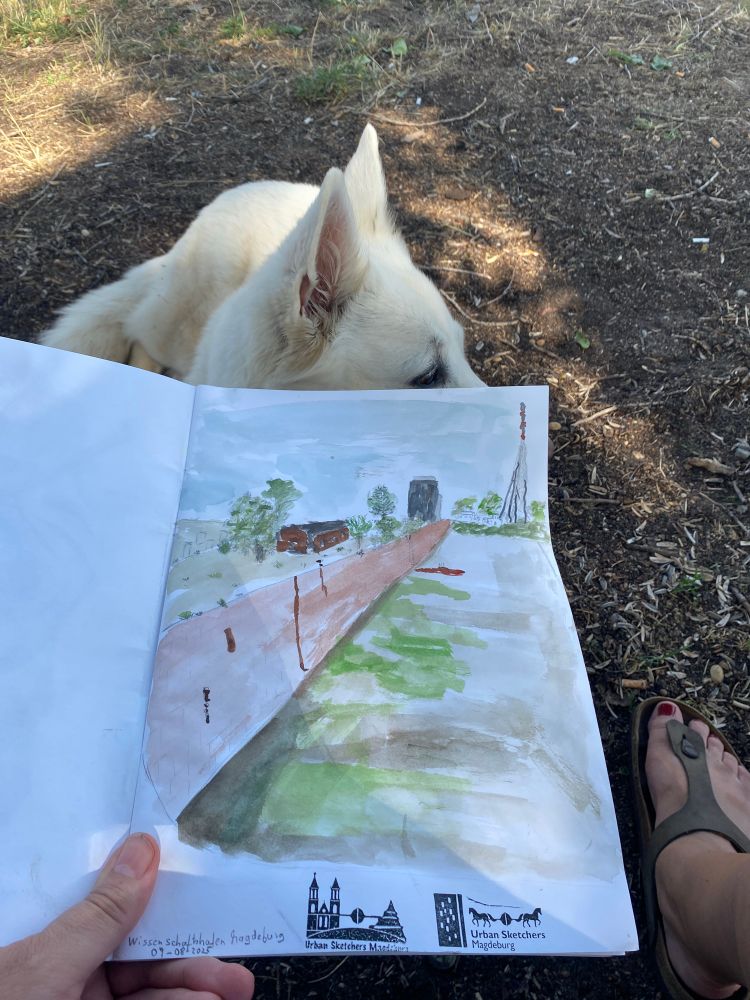 Ein Weißer Hundekopf mit großen Ohren Luft hinter einem Skizzenbuch hervor. Man sieht darauf ein Hafenbecken mit einem Funkturm im Hintergrund. 