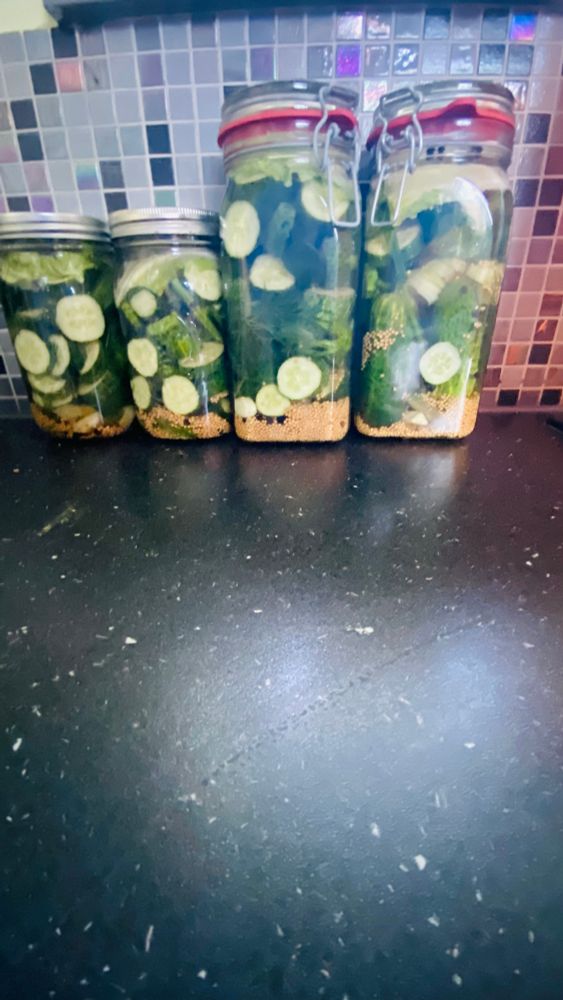 Auf einer schwarzen Fläche stehen 2 große und 2 kleinere Gläser mit Gurken und Gewürzen