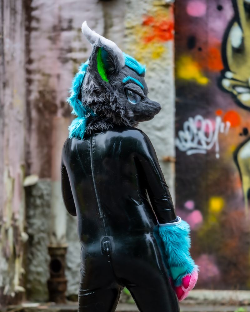 Dragon furry wearing black latex catsuit and looking seductively into the camera