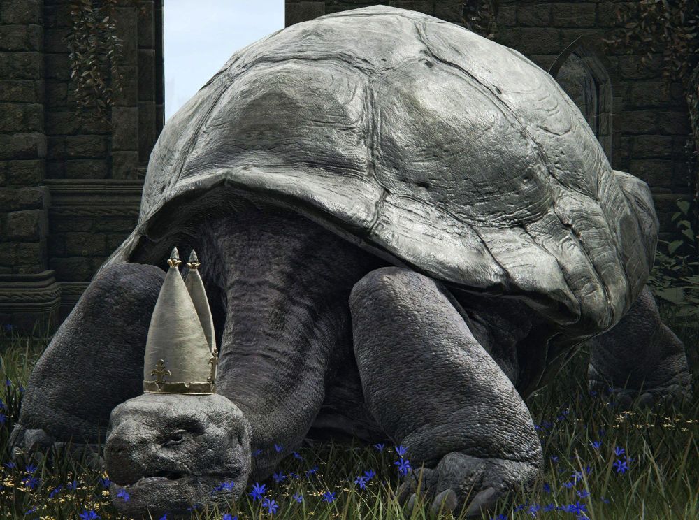 the turtle pope from elden ring