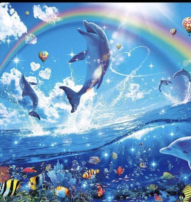 that one dolphins and rainbows meme