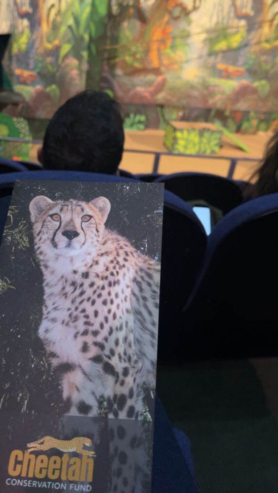 A photo of a Cheetah Conservation Fund pamphlet that goes more in-depth about the research organization’s mission and programs.  