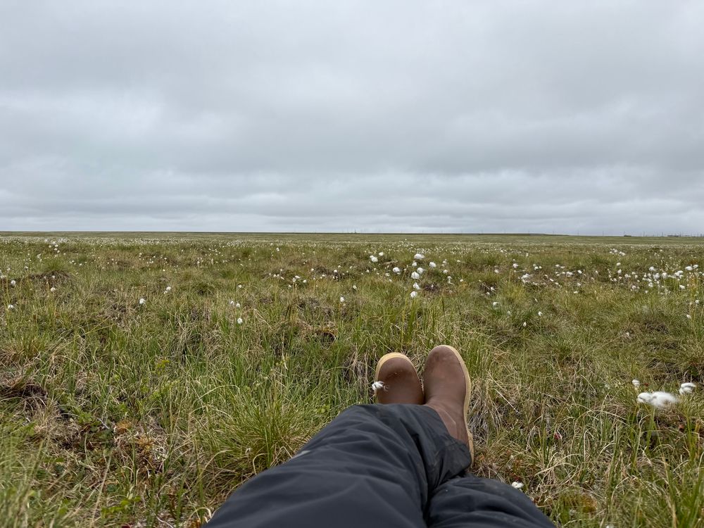 Enjoying the tundra in Atqasuk, AK