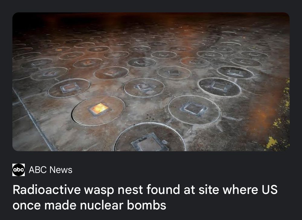 Radioactive wasp nest found at site where US once made nuclear bombs