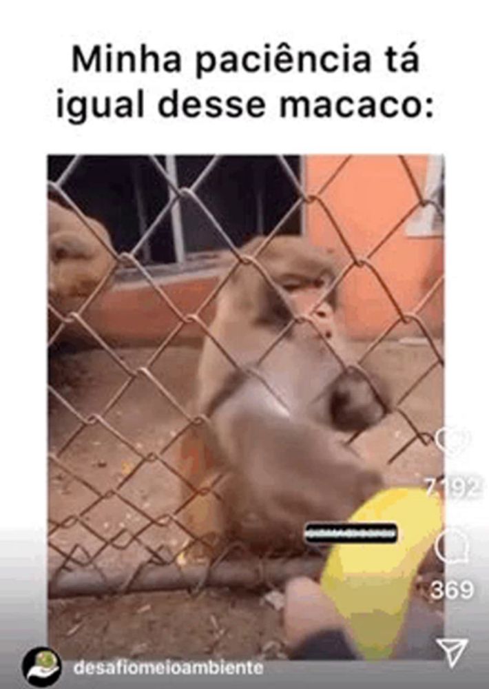 a monkey is playing with a yellow ball in a cage behind a chain link fence .