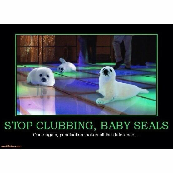 Baby seals on the dance floor. Caption: stop clubbing, baby seals