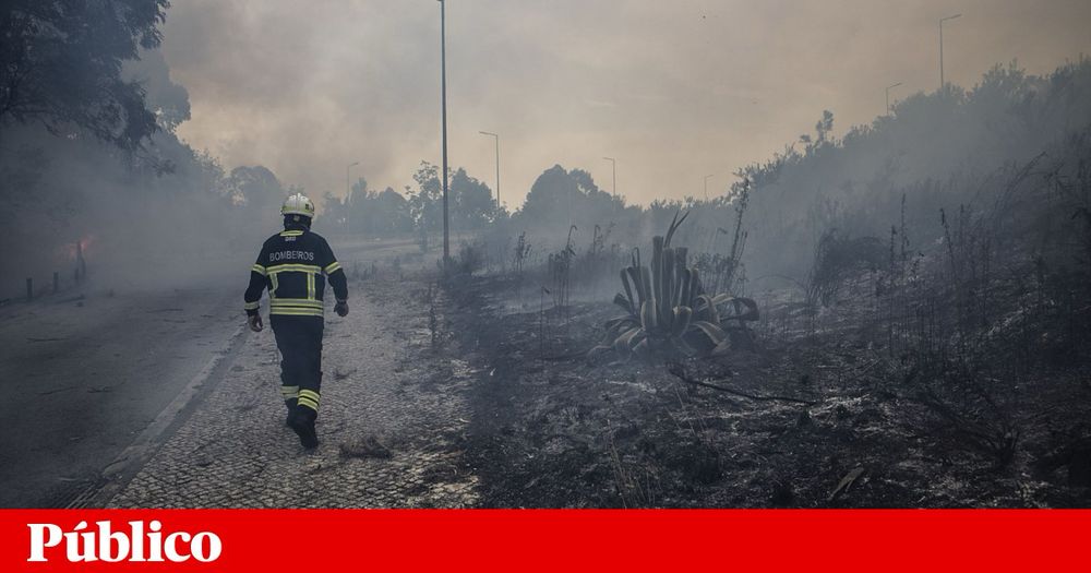 Força Especial da Protecção Civil não integra novos elementos há dez anos. ANEPC e ICNF têm dificuldade em recrutar operacionais para combater fogos. “Não se investe nas pessoas”, lamenta ex-adjunto.