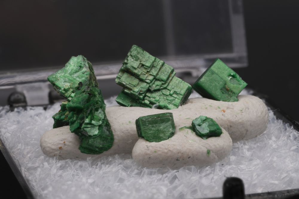 Close-up photo of several green torbernite crystals in a small open case