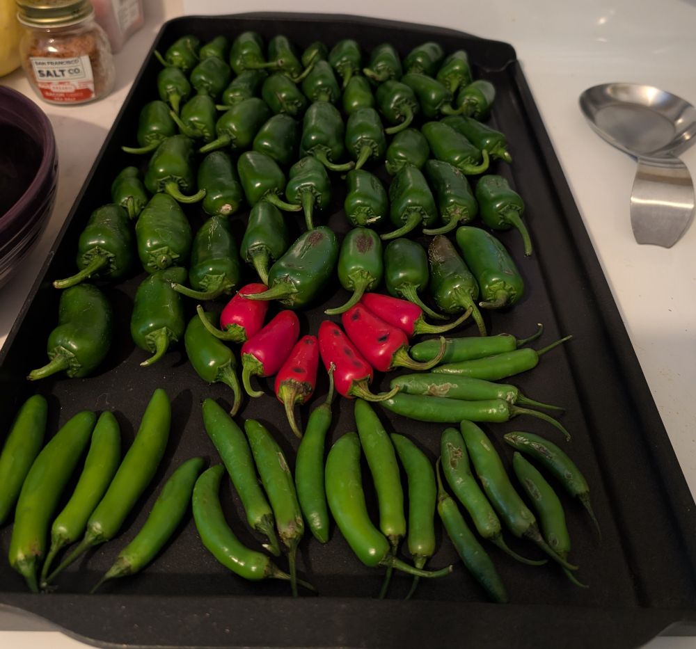 stovetop griddle with jalapenos and serranos being blistered to make into hot sauce