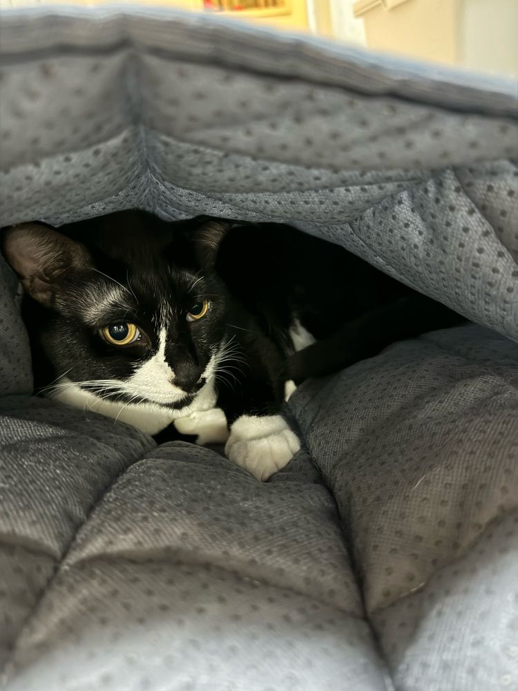 布団に入るような感じで包まれています