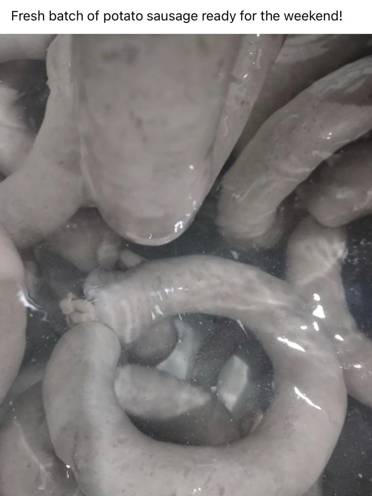 a screenshot of a post from this group with the caption “Fresh batch of potato sausage ready for the weekend!” Over a photo of the most disgusting grey coiled wet ropes of sausage in tepid water