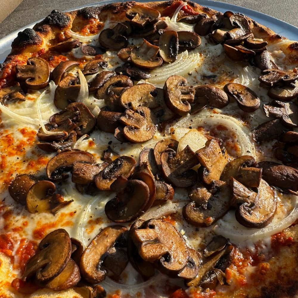 a pizza I made, red sauce, browned cheese, absolutely slathered in mushrooms and sliced white onions