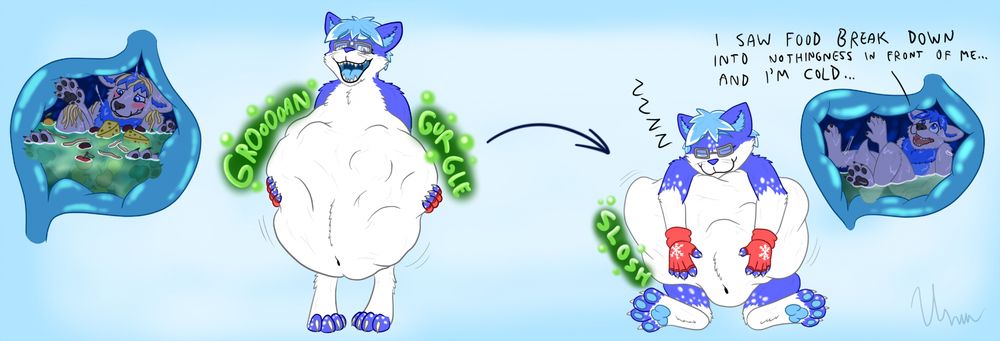 Panel 1, Synth, an anthro cat, has a large gurguling gut . There is an internal view with a very flustered Cogo inside the cat's active stomach sitting with all kinds of food around him. 
Panel 2, Synth sits down, arms going over the still bulging slushing belly, now asleep; Inside Cogo is tightly containted, the stomach is now empty of normal food leaving the inactive stomach juices still pooling under the curled wolf. "I saw food break down into nothingness in front of me... And i'm cold..." is said by Cogo.
Picture done by @unexwolf.bsky.social