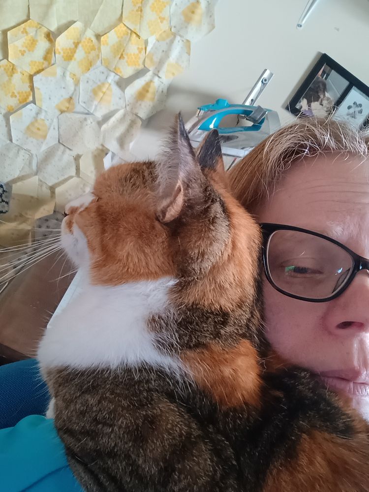 A calico cat is perched on a woman's shoulders, you can see part of the woman's face peeking out from behind the cat.