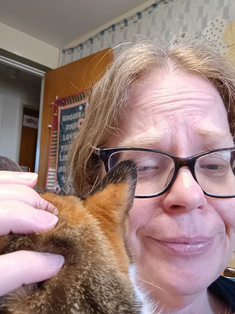 A woman scratches the head of a calico cat sitting on her chest.