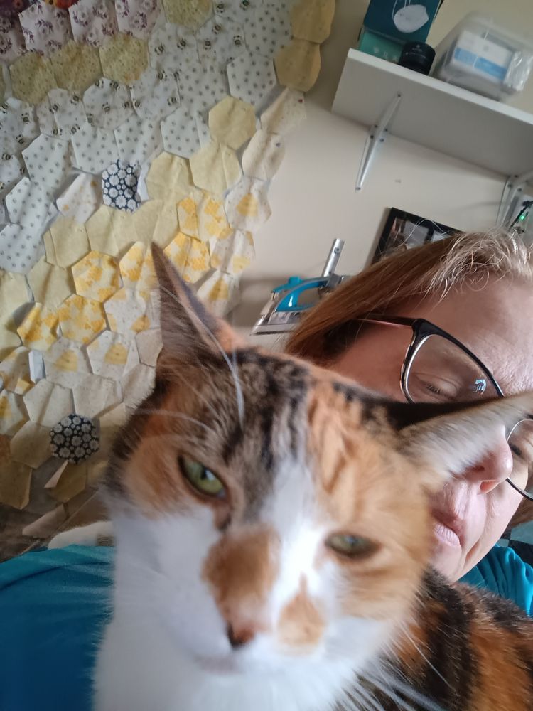 The calico cat is perched on a woman's chest and she looks annoyed at the phone, because the woman stop scratching her head to take a picture.