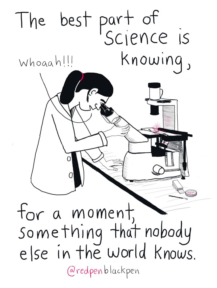 Cartoon of a scientist peering through a microscope saying "Whoaah!!!". Title says "The best part of Science is knowing, for a moment, something that nobody else in the world knows."
