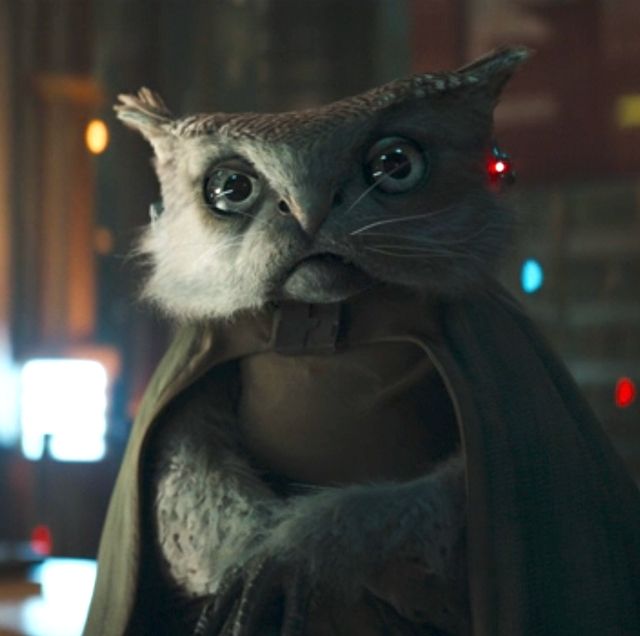 Still image of Kh'ymm, who seems to be an owl-like species with some feline features, from the Disney Plus  Star Wars TV show, Skeleton Crew. Kh'ymm is sort of a librarian, astronomer, cartographer, who speaks English rather like a British nanny.