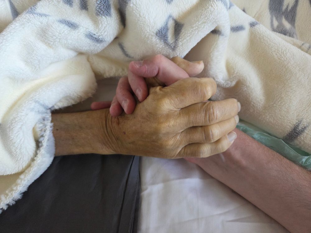 Close up photo of a father and son's hands holding together