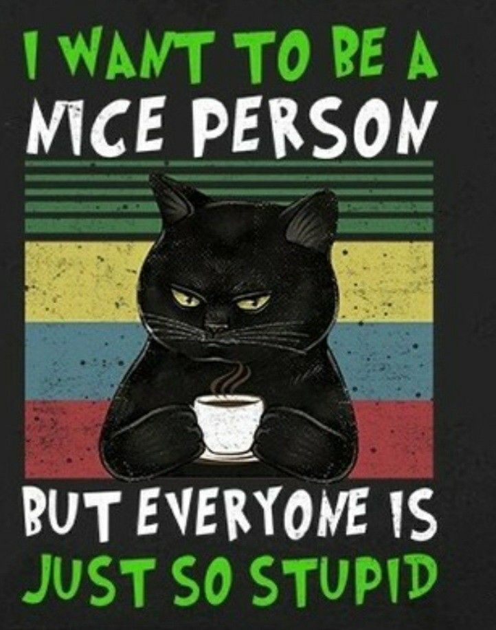 ​A cat holding a coffee cup with the text, "I want to be a nice person but everyone is just so stupid."