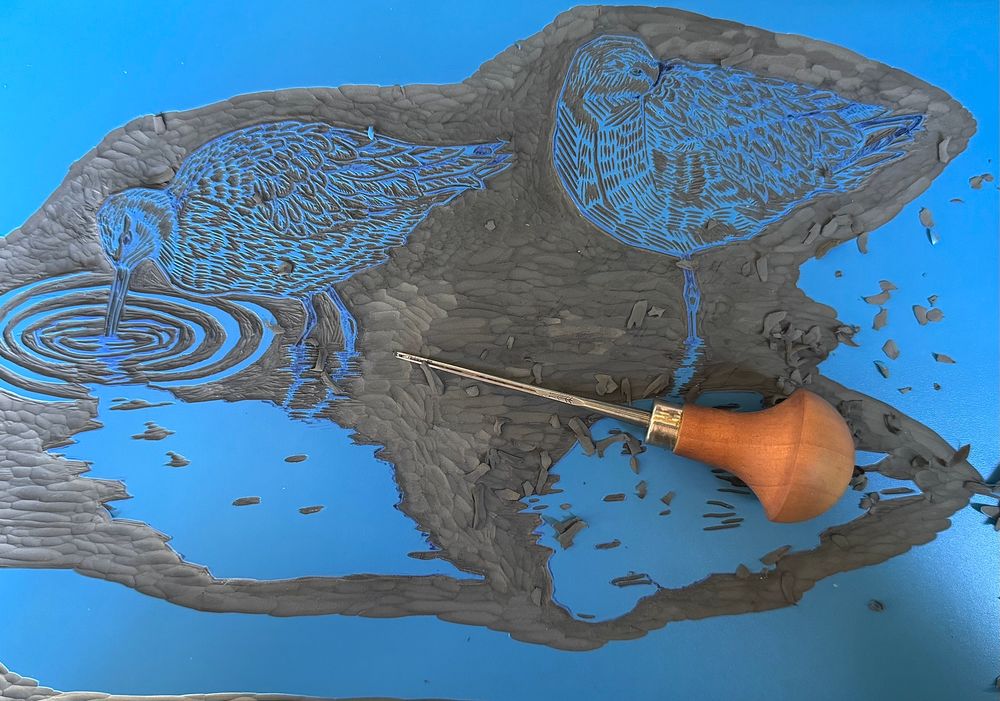 Linocut carving on blue vinyl of two wading birds. The vinyl is dark grey where the blue vinyl has been carved away. The bird on the left is feeding in the water and the right bird is resting with its head under its wing. Lino carving tool rested on top on vinyl plate.