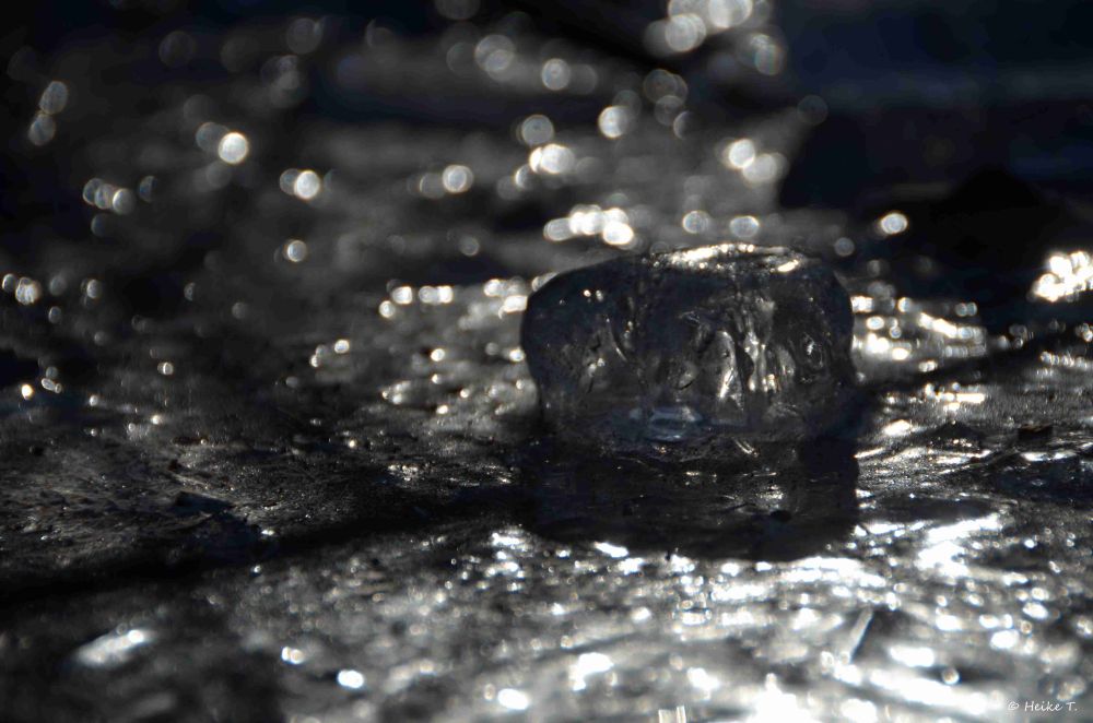 Nahaufnahme eines transparenten Eiswürfels auf einer reflektierenden, nassen Oberfläche mit Lichtreflexen.