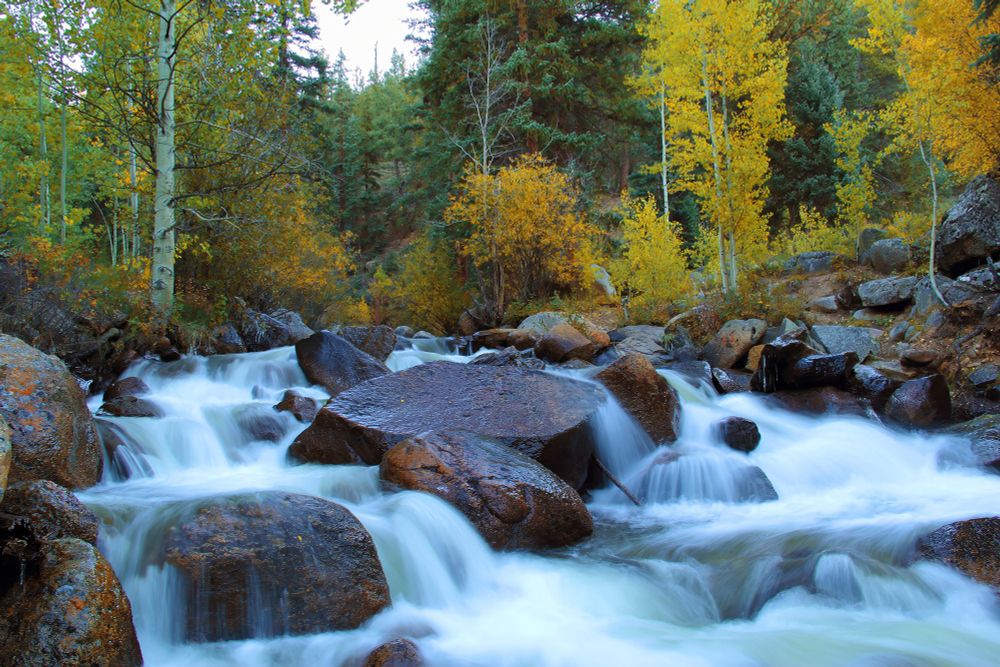 cascading waterfall with large boulders, surrounded by yellow-leafed aspen trees, and high mountain firs in the Colorado Rockies. 