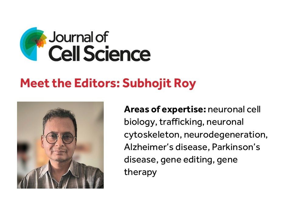 Journal of Cell Science logo
Meet the Editors: Subhojit Roy
Picture of Subhojit 
Areas of expertise: neuronal cell biology, trafficking, neuronal cytoskeleton, neurodegeneration, Alzheimer’s disease, Parkinson’s disease, gene editing, gene therapy
