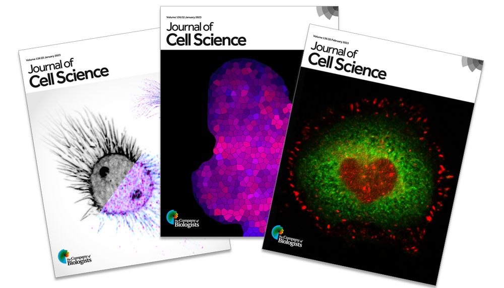 Image showing three covers of Journal of Cell Science