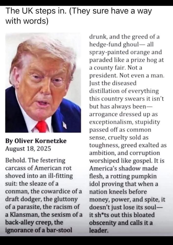 Ascerbic article describing Trump in extremely unflattering terms:

Here is author Oliver Kornetzke on Trump:

«Behold. The festering carcass of American rot shoved into an ill-fitting suit: the sleaze of a conman, the cowardice of a draft dodger, the gluttony of a parasite, the racism of a Klansman, the sexism of a back-alley creep, the ignorance of a bar-stool drunk, and the greed of a hedge-fund ghoul—all spray-painted orange and paraded like a prize hog at a county fair. Not a president. Not even a man. Just the diseased distillation of everything this country swears it isn’t but has always been—arrogance dressed up as exceptionalism, stupidity passed off as common sense, cruelty sold as toughness, greed exalted as ambition, and corruption worshiped like gospel. It is America’s shadow made flesh, a rotting pumpkin idol proving that when a nation kneels before money, power, and spite, it doesn’t just lose its soul—it shits out this bloated obscenity and calls it a leader.»