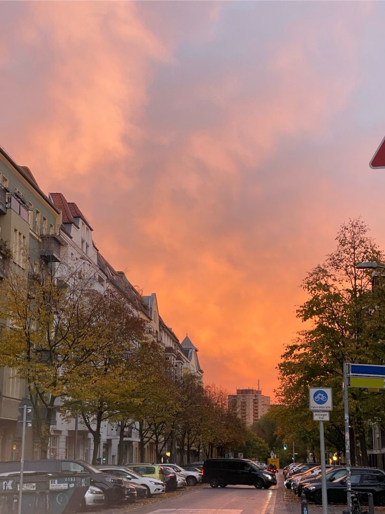 めちゃ赤い夕焼け　道路と車と街路樹と建物と標識