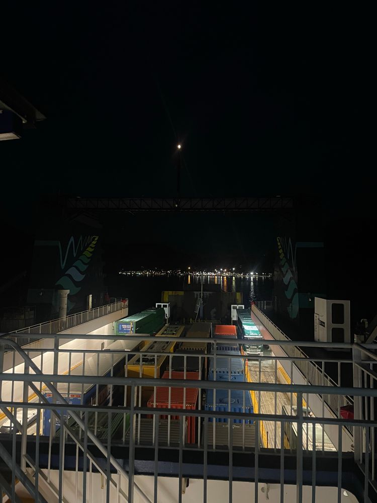 Picton in the background. A poorly lit ferry deck. It is late at night. 

Cows lowing in the manger, i mean fore deck. 

Pretty sure there is a whole nativity scene down there somewhere.  

Apologies if you have a text reader. I’ll see myself out now.