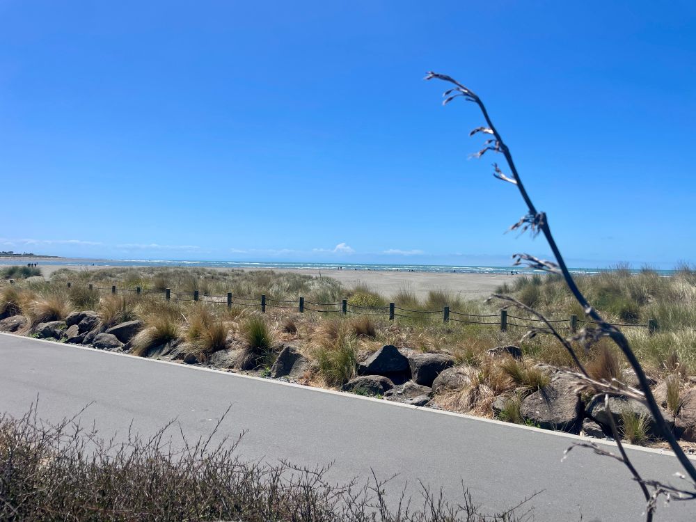 A beach near Sumner possibly Scarborough?