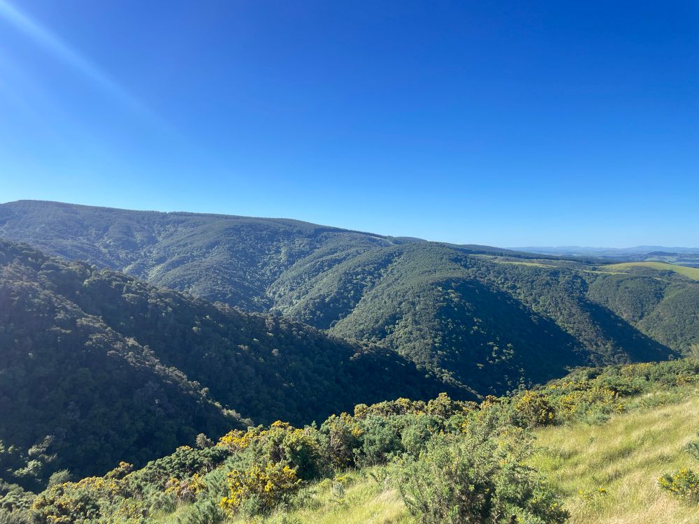 The valley next door. These hills are quite a lot of work. But mostly farmland and forestry.
