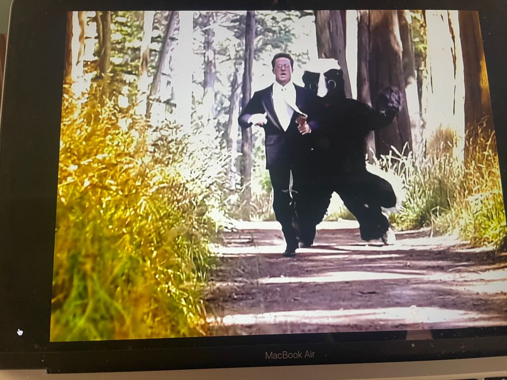 Screenshots of a great music video by Cake. 