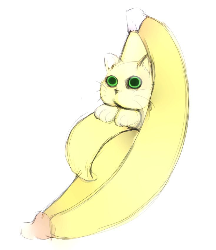 A cat that is a banana