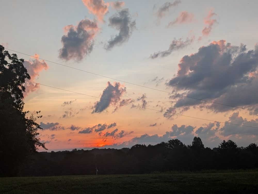 Un amanecer. Se puede ver un poquito de sol saliendo entre los árboles. El cielo es de un azul pálido y el sol es de una naranja intensa. Hay nubes en el cielo. 