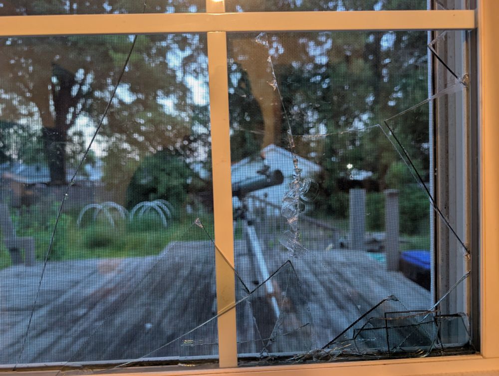 una foto que muestra el vidrio roto de una ventana. se puede ver el patio trasero cubierto de vegetación y un telescopio en el fondo.