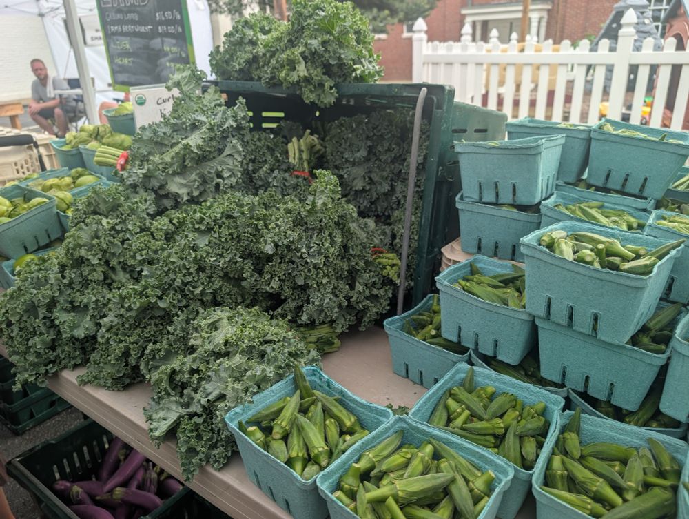 una mesa que lleva okra, col rizada, y tomatillos