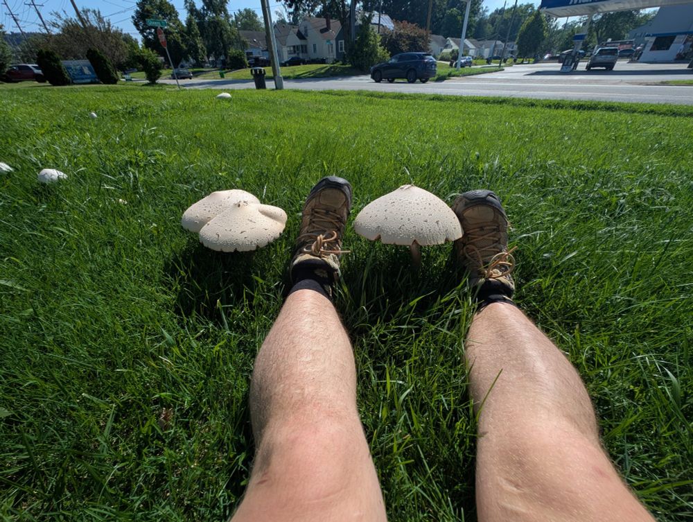 Una persona está sentada en el pasto y sus piernas están entre hongos que son más grandes que sus pies.