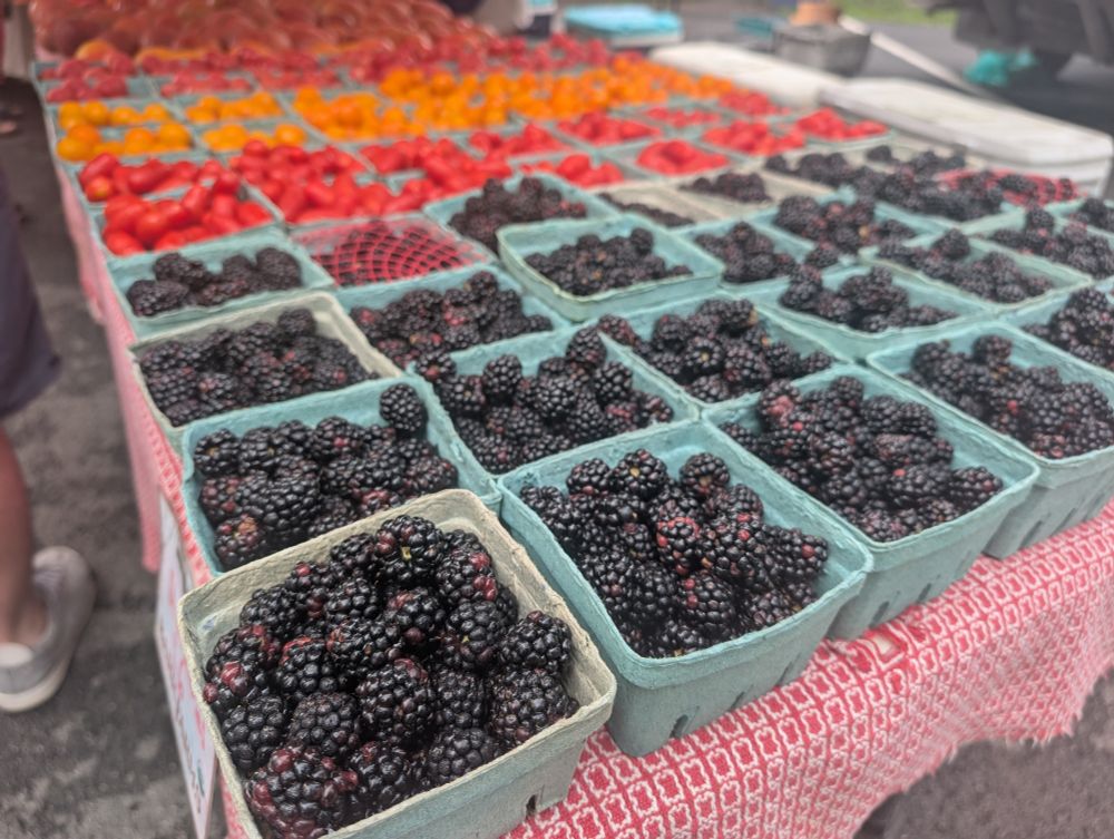 una mesa llena de moras y tomates