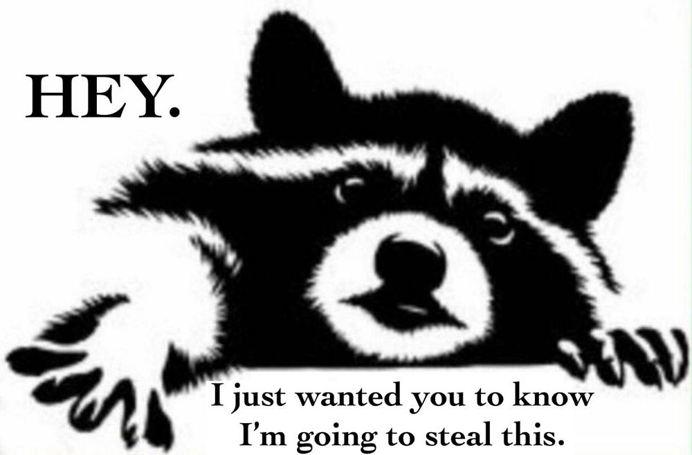 Drawing of a raccoon reaching out to grab something with the text:

HEY.
I just wanted you to know I'm going to steal this.