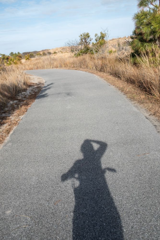 Shadow of a bicycle rider on a beachy bike path