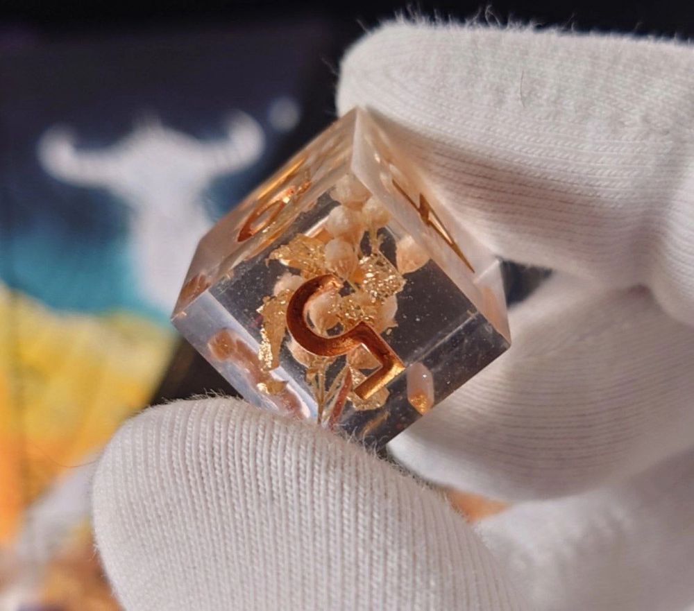 a hand holding a six-sided die with white flowers inside