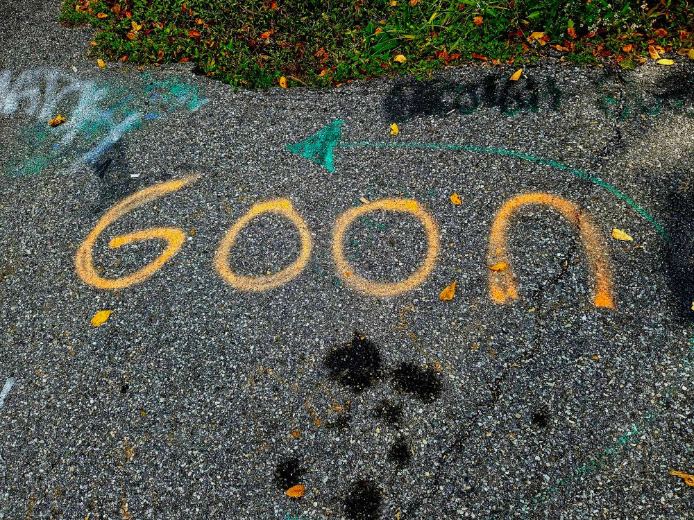 Spray paint on the pavement in a national park that spells the word goon.