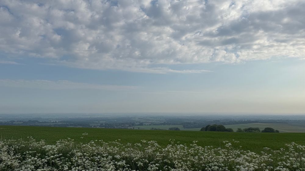 A view across the Vale of the White Horse from The Ridgeway in hazy sunshine with cow parsley in the foreground and light clouds overhead 