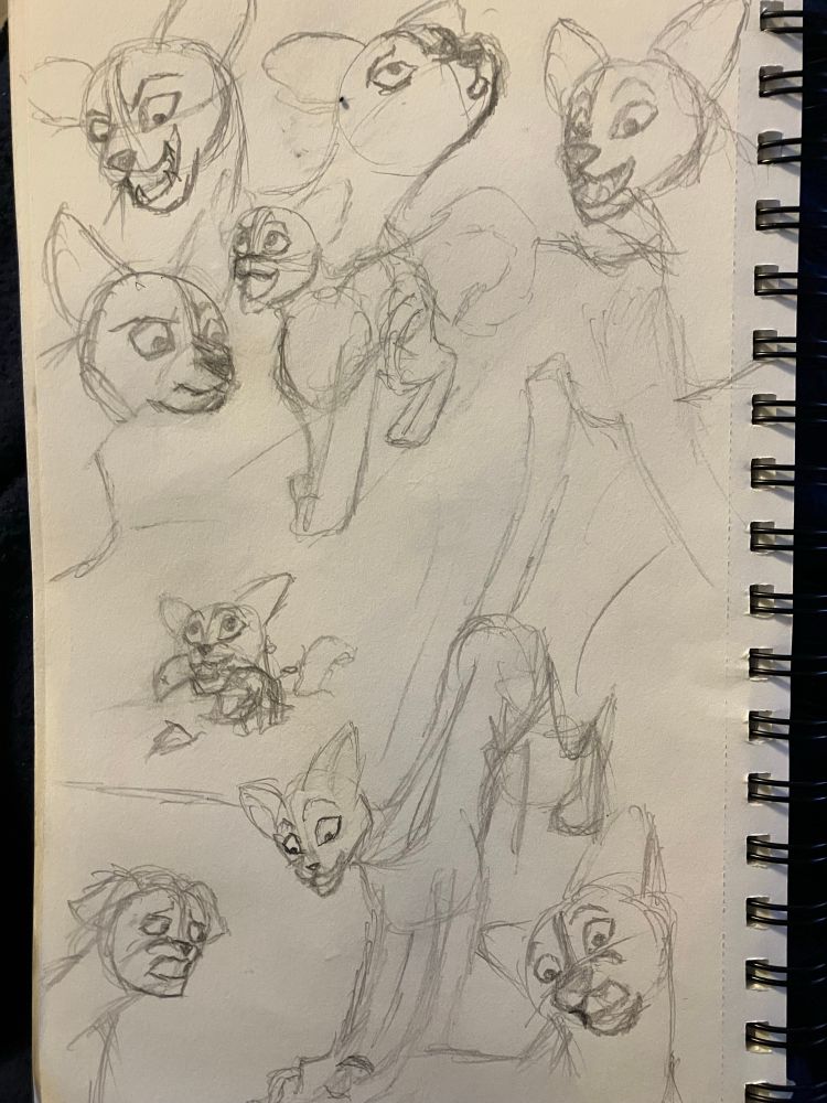 Even more cat drawings on another page