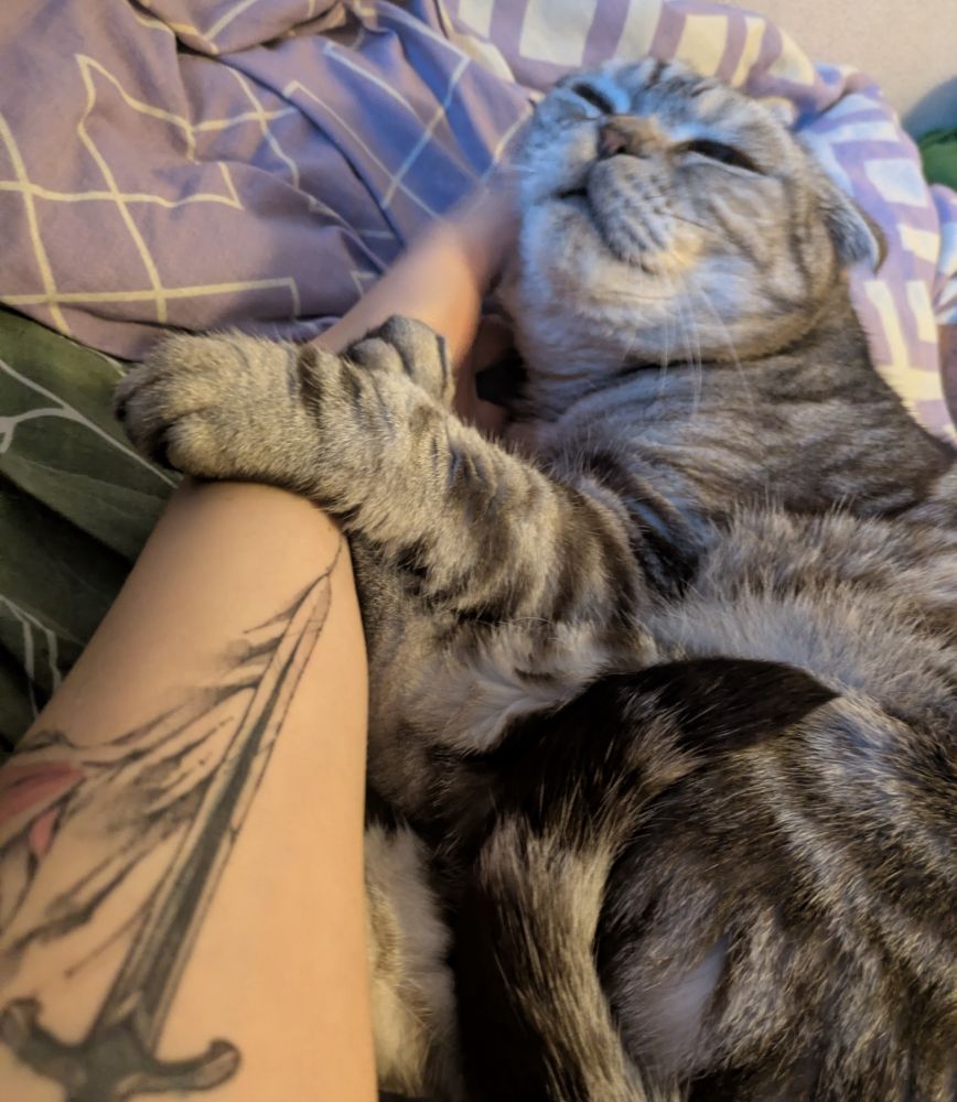 photo of my cat Ori laying his paws over my forearm and enjoying head scritches.